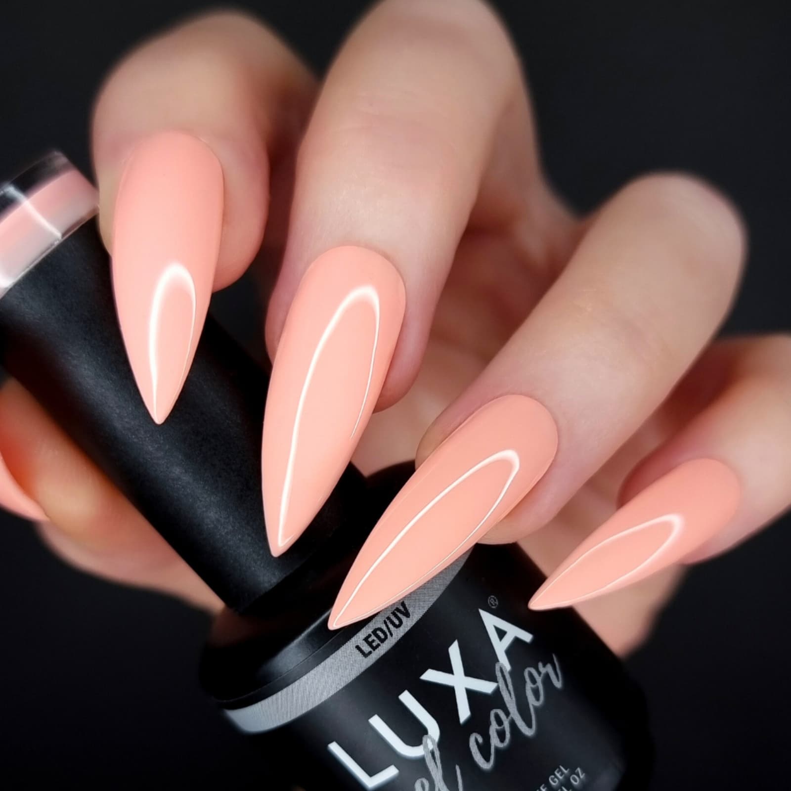 Luxa Coral Coast