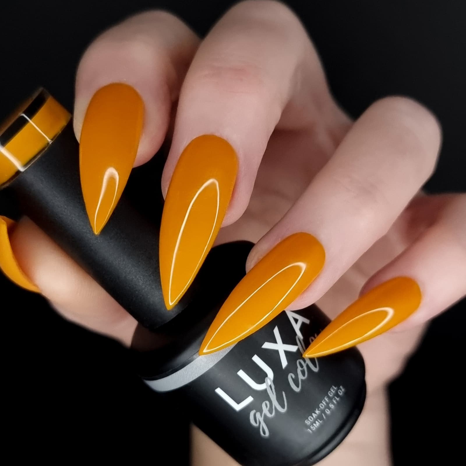 Luxapolish Rockin' Roccan Collection - 8pcs with free painted swatch sticks