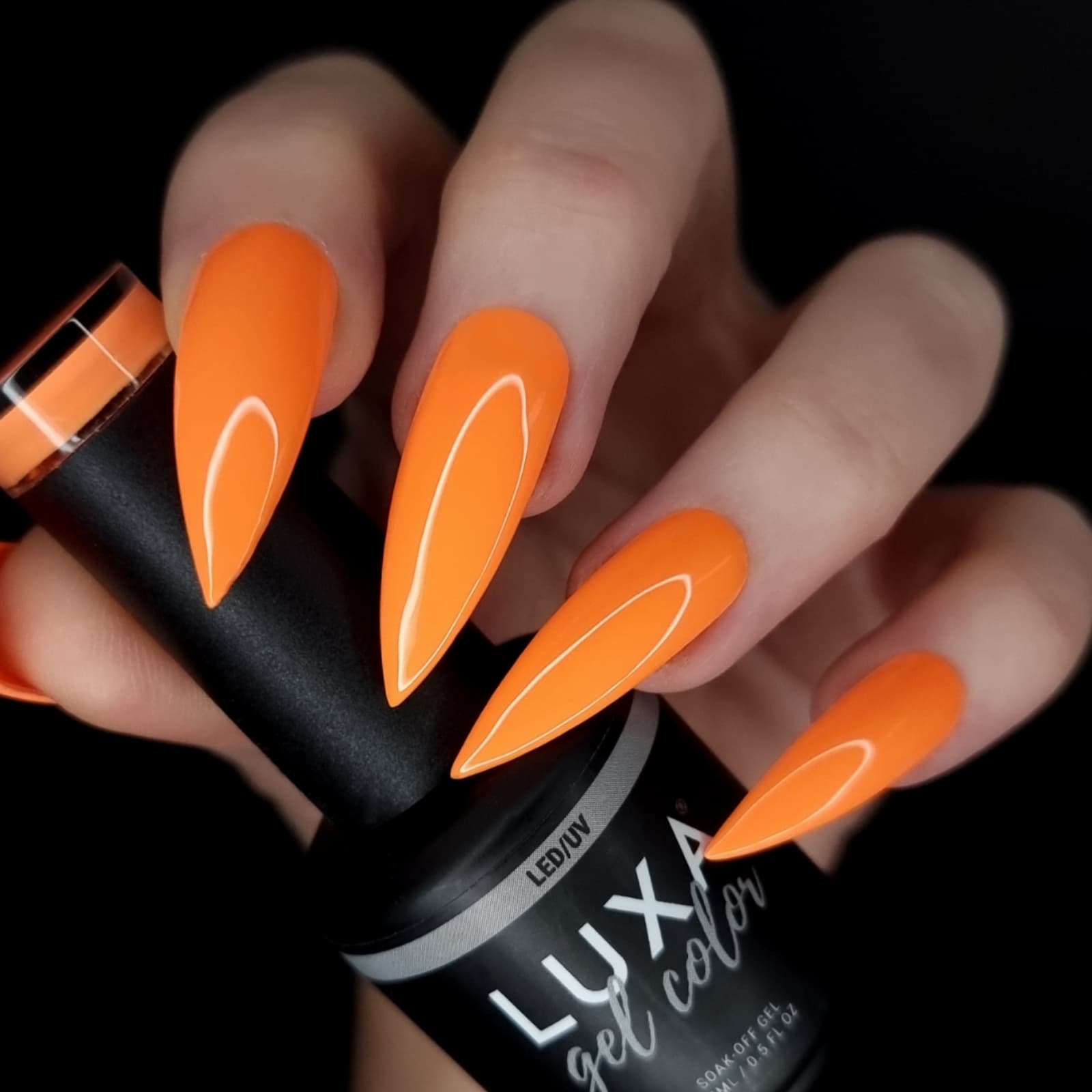 Luxapolish Punk Candy Collection - 7pcs with free painted swatch sticks
