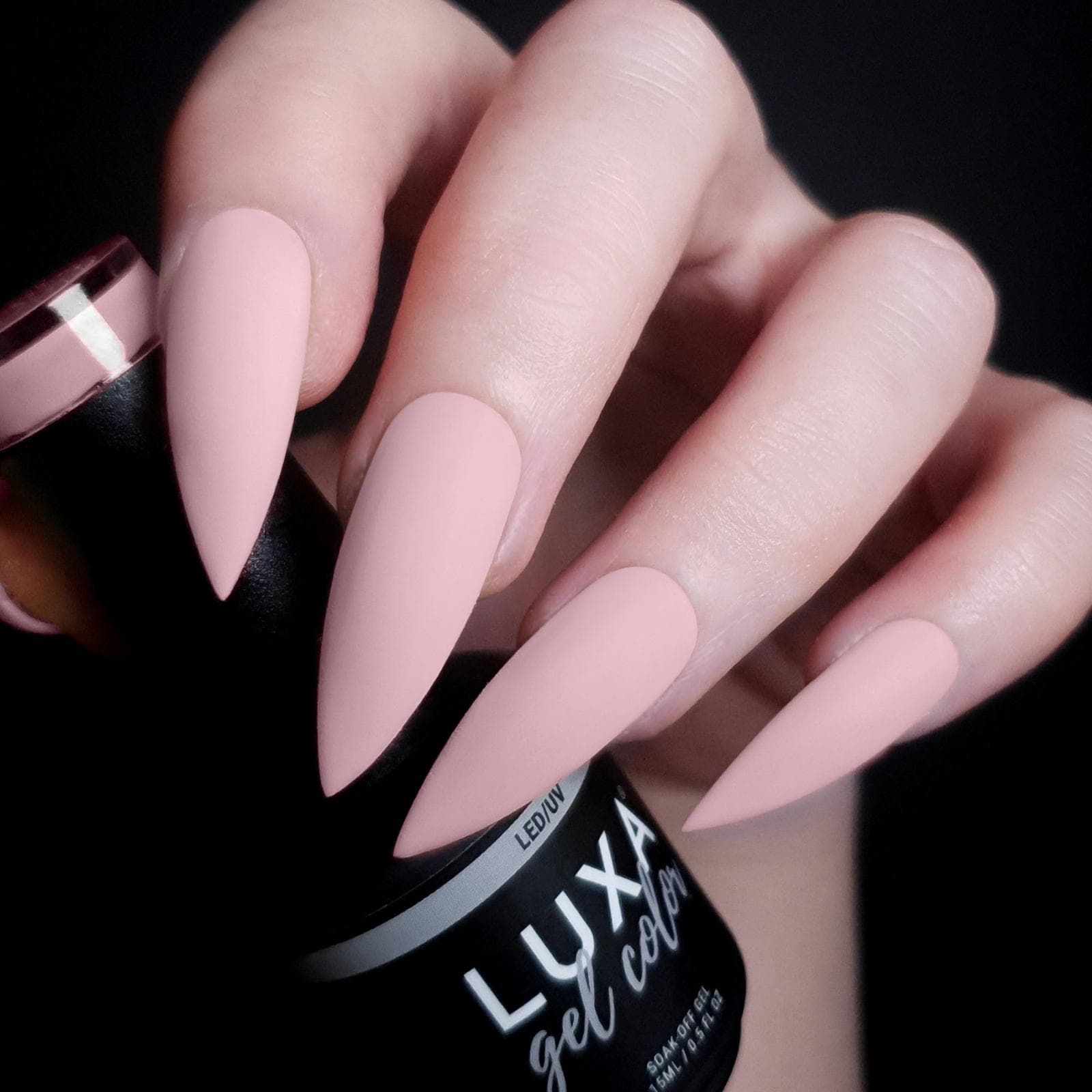 Luxa Birthday Suit