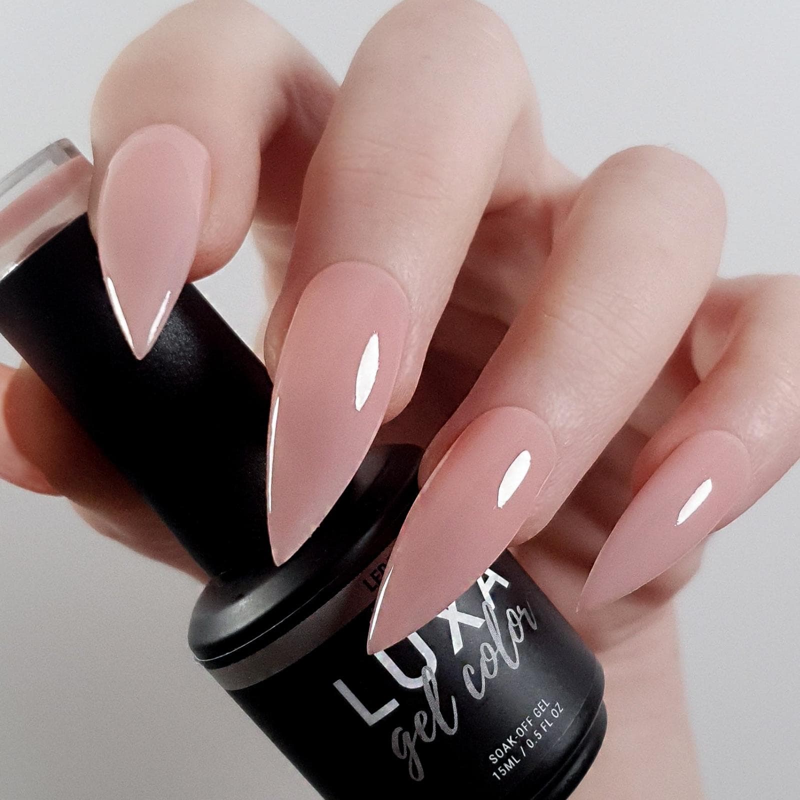 Luxa Muse