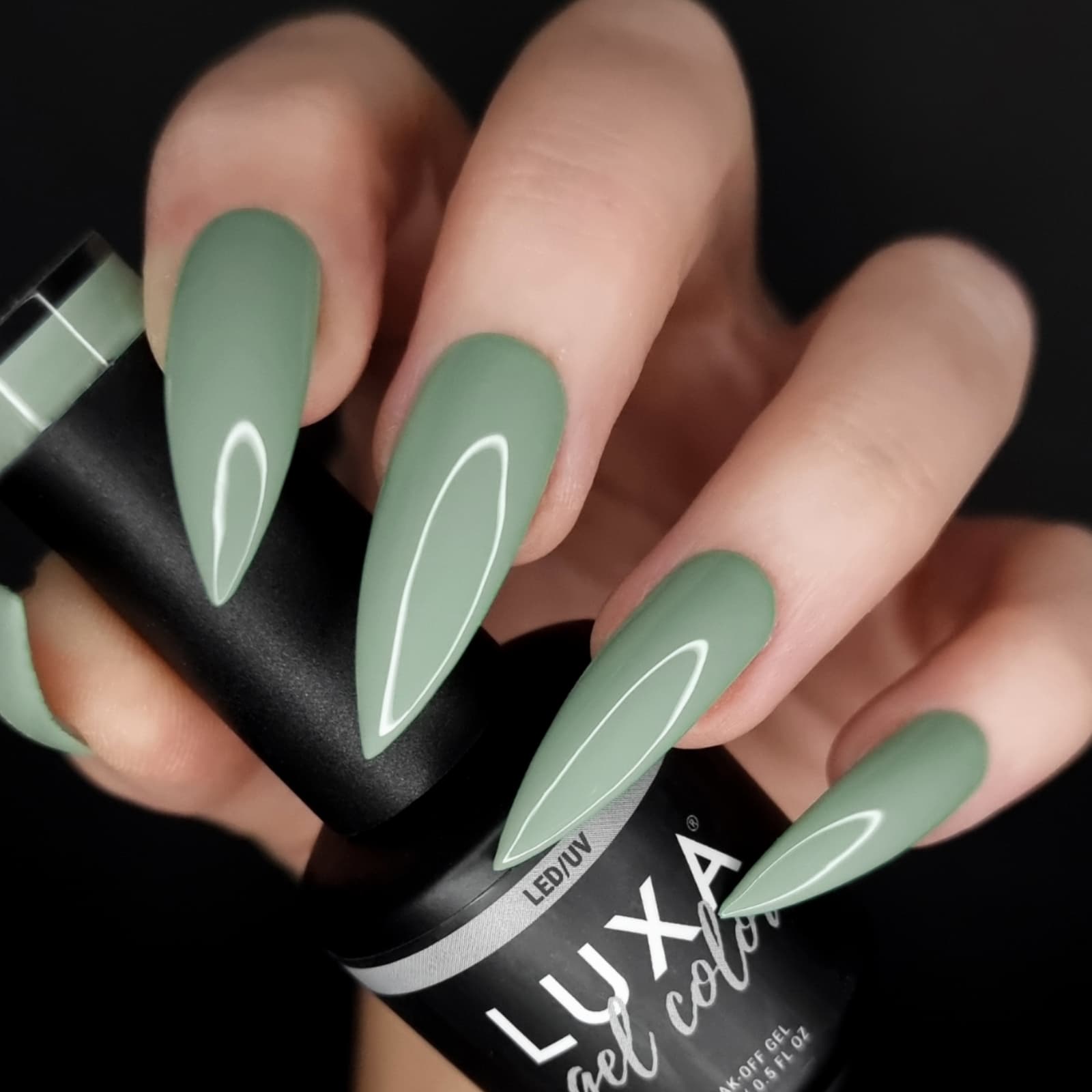 Luxa Twin Palms