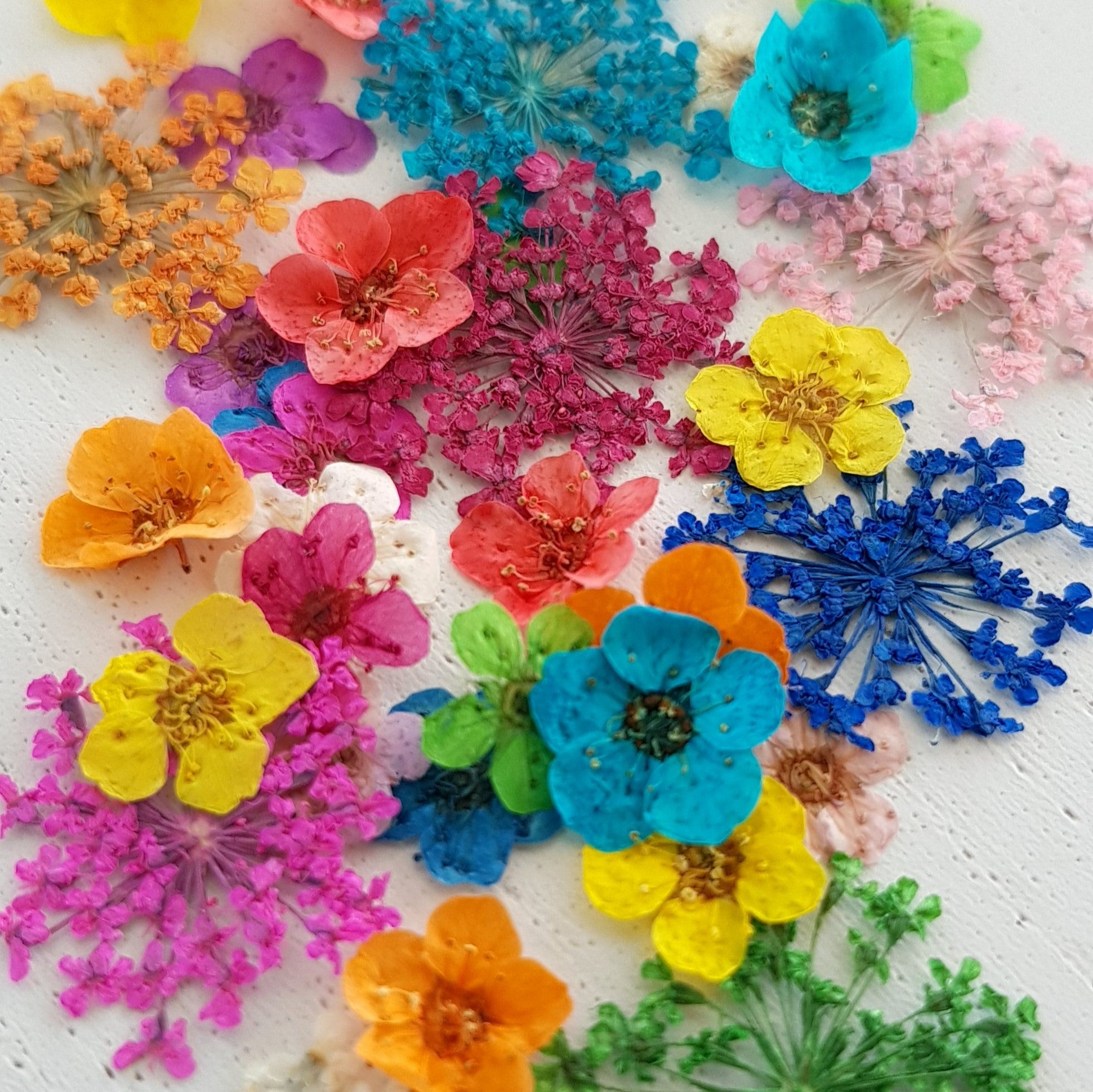 Dried Flower wheel