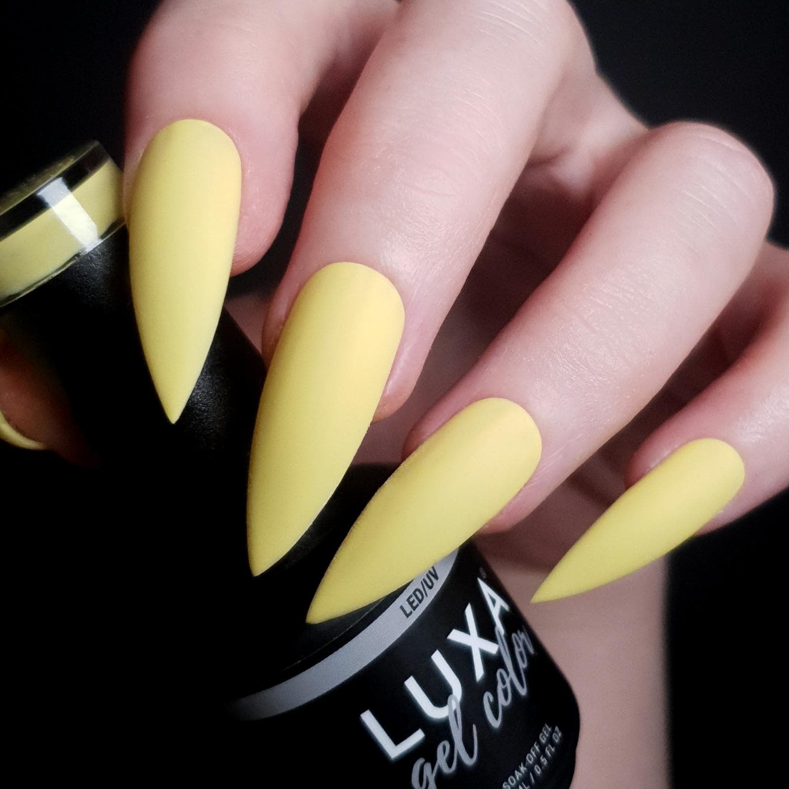 Luxa Happy Hour