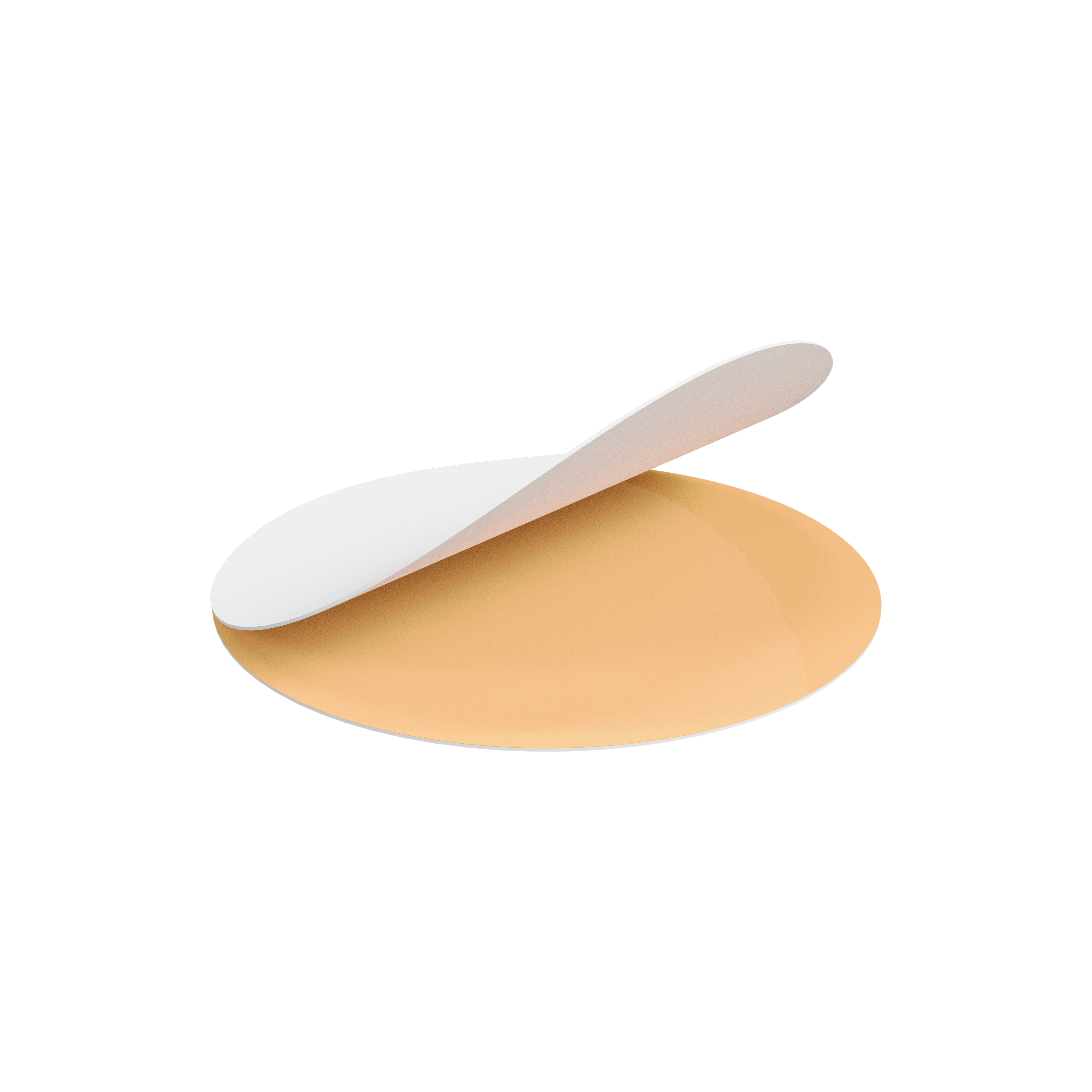 Staleks Disposable Adhesive files - Podo Disc