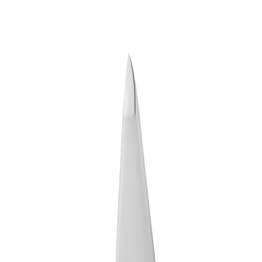 Staleks Tweezers - Point